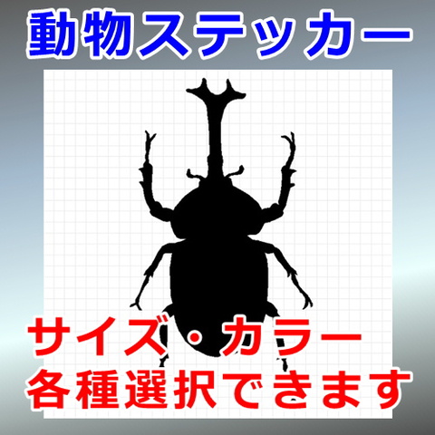 カブトムシ