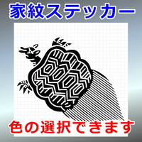 亀紋
