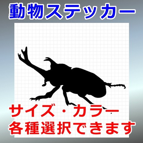 カブトムシ