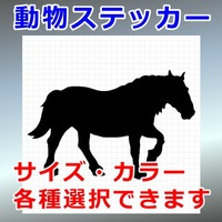 ばん馬