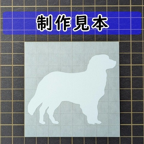 コーイケルホンディエ