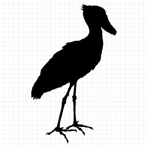 ハシビロコウ