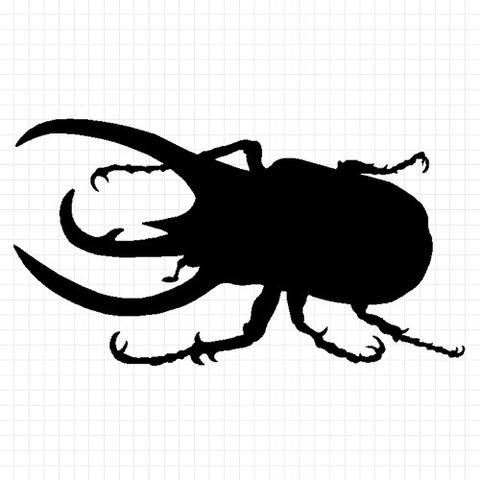 カブトムシ