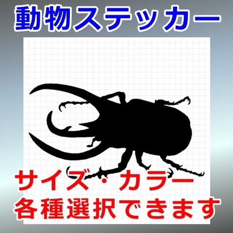 カブトムシ
