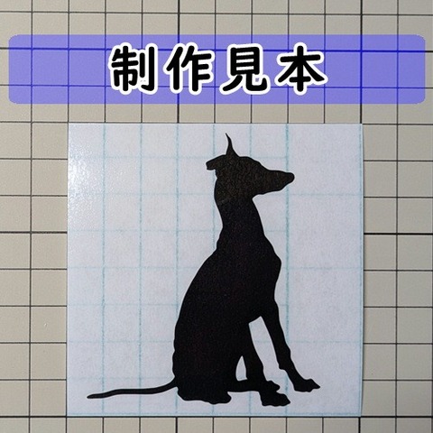グレイハウンド