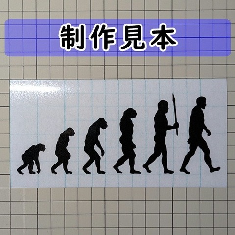 進化論
