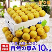 愛媛県産 豊水梨 自然の恵み（小玉）10kg