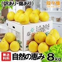愛媛県産 ジューシーオレンジ 自然の恵み 8kg（訳あり・傷あり）