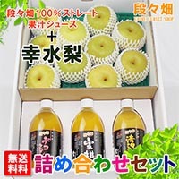 愛媛県産 幸水梨・100％ストレート果汁ジュース  詰め合わせ セット