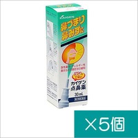 カイゲン点鼻薬30ml×5個【第2類医薬品】