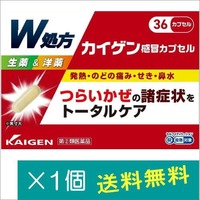 【指定第2類医薬品】カイゲン感冒カプセル 36カプセル※お一人様1点まで　指定濫用防止医薬品