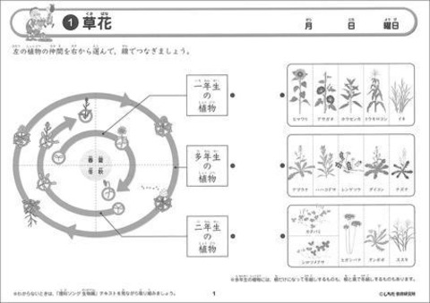 理科ソング【プリント】生物編