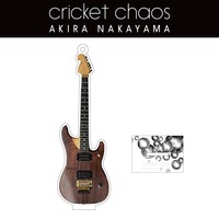 【AKIRA NAKAYAMA】「cricket chaos」ギターアクリルスタンド