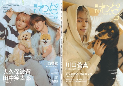 月刊わんこvol.29（Special Edition パジャマ版）　表紙巻頭特集：大久保波留・田中笑太郎（DXTEEN） ／裏表紙：川口蒼真（KID PHENOMENON）