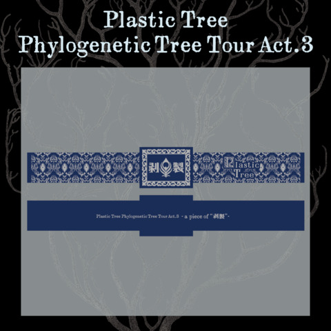 【Plastic Tree】 Phylogenetic Tree Tour Act.3 ラバーバンド剝製ver.