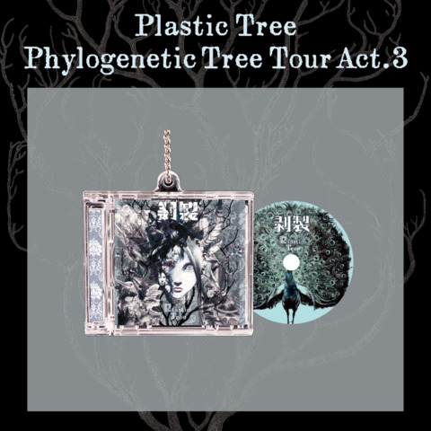 【非売品】THE STORY OF A TREE 日本語版 Plastic Tree Phylogenetic Tree Tour Act.3 CDケースキーホルダー