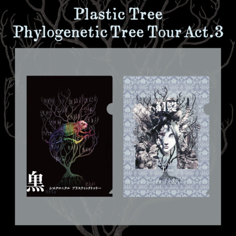 Plastic Tree Phylogenetic Tree Tour Act.3 クリアファイル ＜ J-ROCK