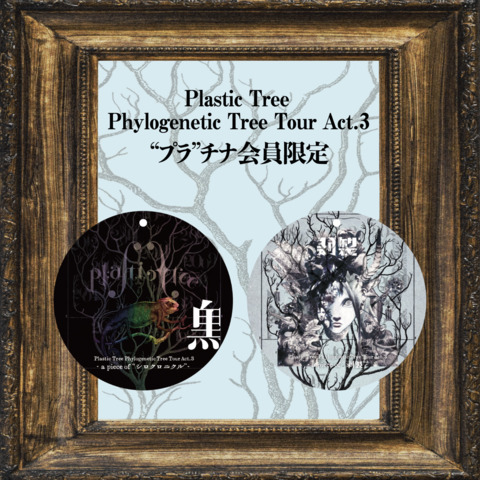 Plastic Tree Phylogenetic Tree Tour Act.3 “プラ”チナ会員限定両面プリントアクリルキーホルダー