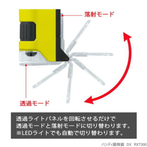 簡単スマホ撮影ハンデ