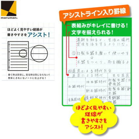 書きやすいルーズリーフ　A4　30穴　6mm罫アシストライン