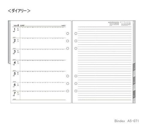 システム手帳リフィル 2020年 A5月間＆週間ダイアリー1 バインデックス A5-071