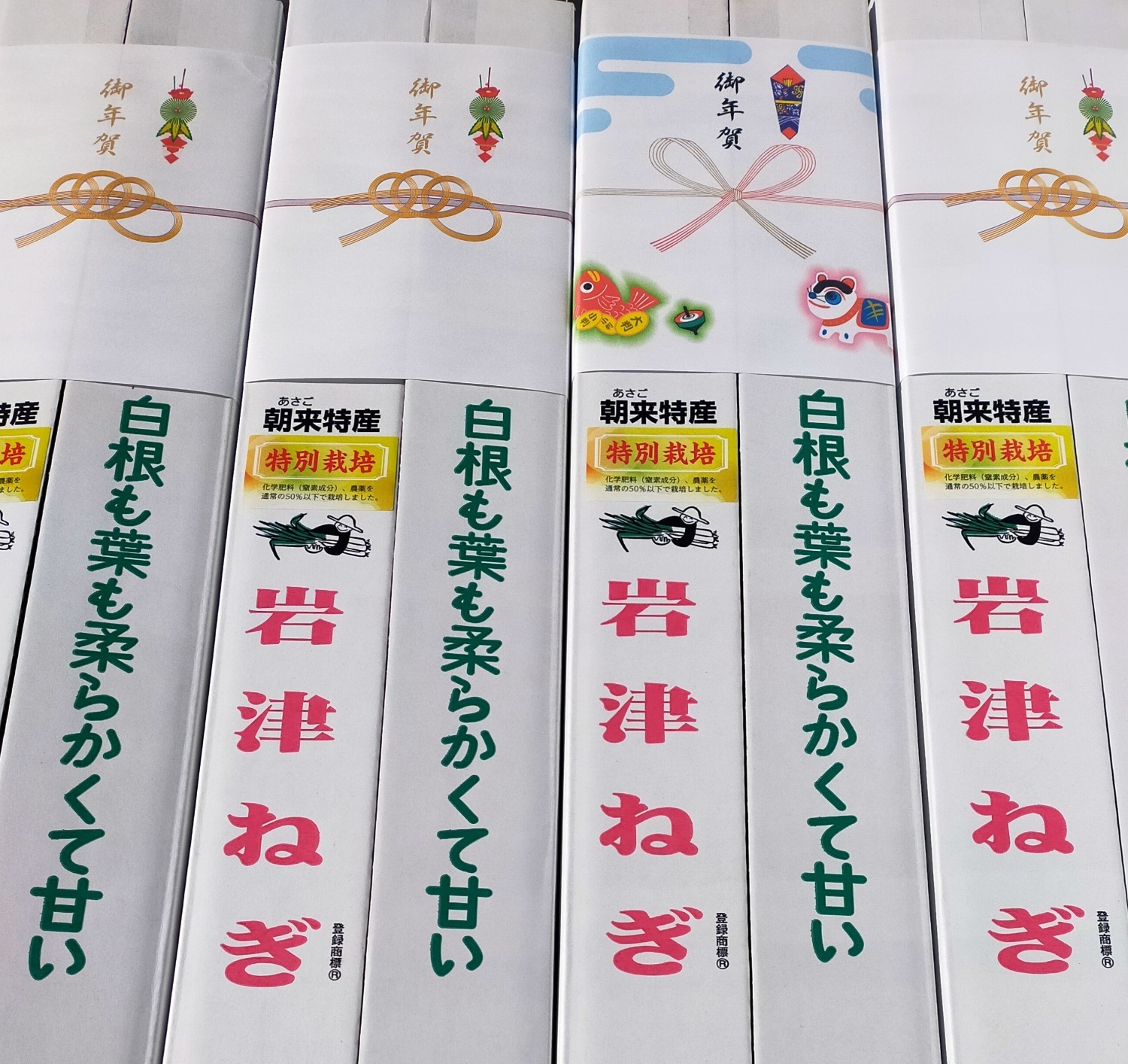 【贈答用・特別栽培】極太KIWAMI・岩津ねぎ