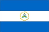 ニカラグア SHG 2008年物　100g