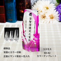 カラー付き 位牌　KH-4UM　中
