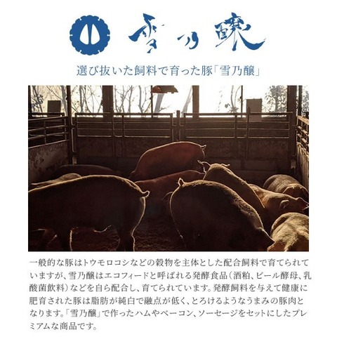 飼料のプロフェッショナルが育てた豚　雪乃醸厳選セット