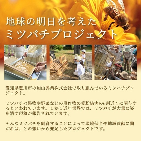 クセの無い、まろやかなおいしさ　百花はちみつ＆バウムクーヘンセット