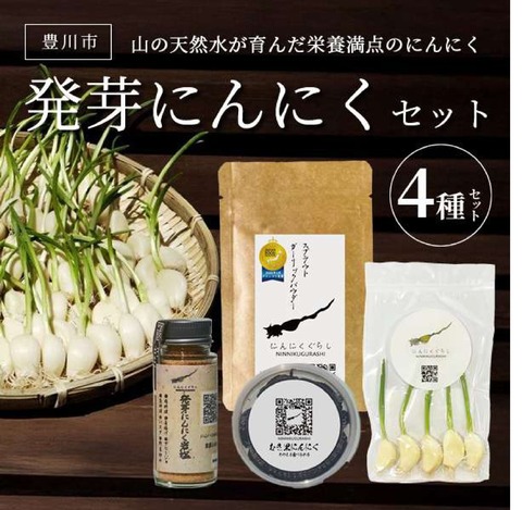 山の天然水が育んだ栄養満点のにんにく 発芽にんにくセット
