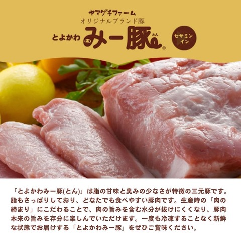 脂の甘み広がるオリジナルブランド豚”とよかわみー豚” しゃぶしゃぶセット