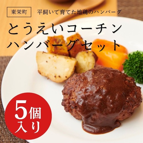 とうえいコーチンハンバーグセット