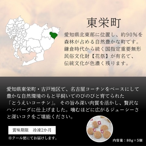 とうえいコーチンハンバーグセット