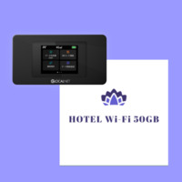 HOTEL Wi-Fi 50GB(端末レンタルセット)