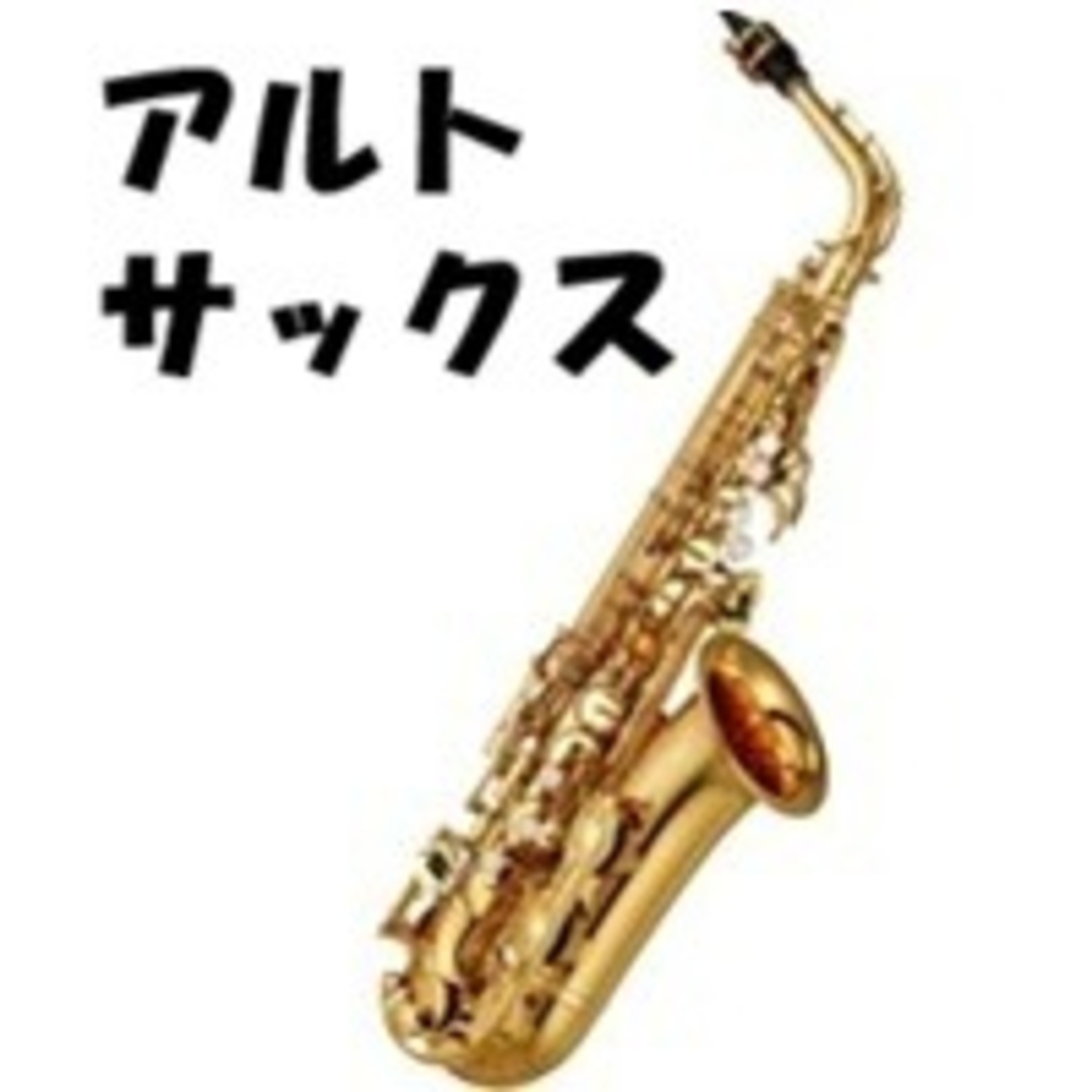 【汎用】アルトサックス用 アクセサリー・お手入れ用品