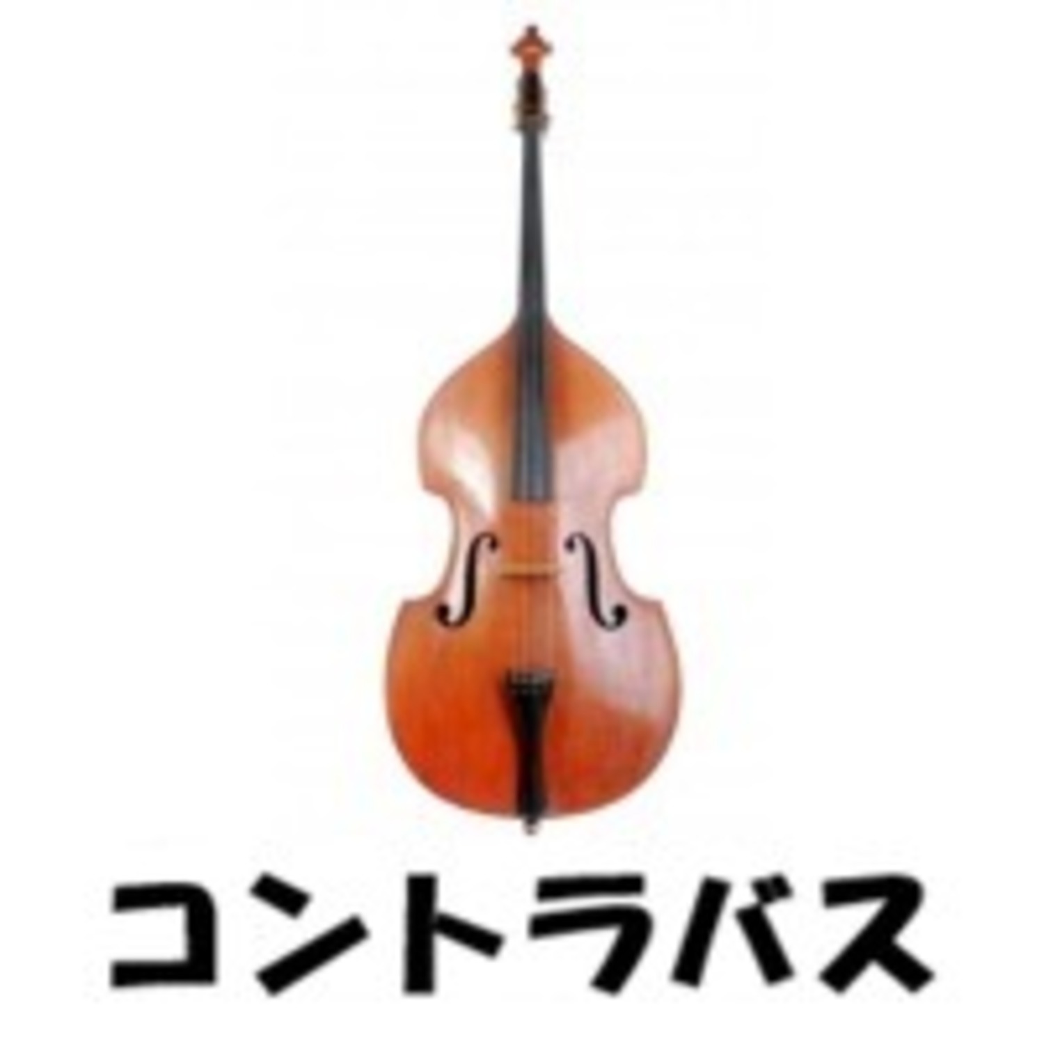 【汎用】コントラバス用 アクセサリー・消耗品