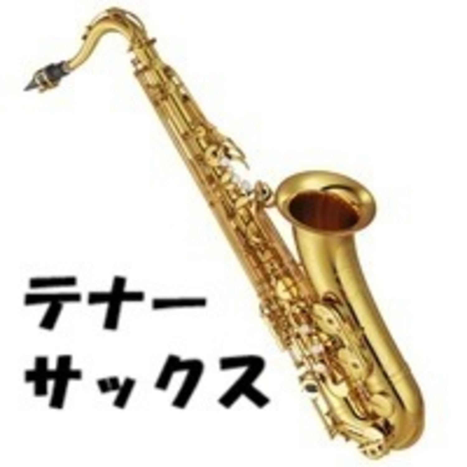【汎用】テナーサックス用 アクセサリー・お手入れ用品