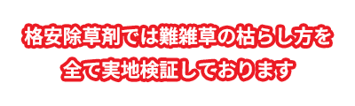 格安除草剤では難雑草の枯らし方を全て実地検証しております