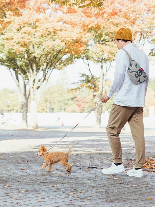 休日のおすすめ5選