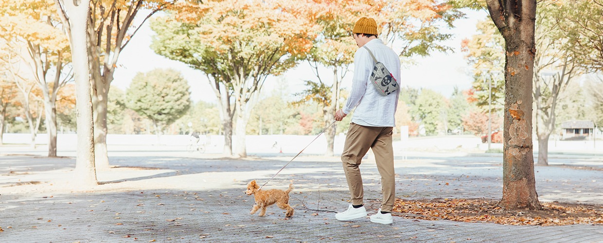 休日のおすすめバッグ5選