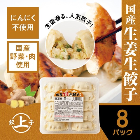ジャンボ餃子(冷凍)８個×10パック