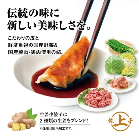 ジャンボ餃子