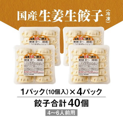 ジャンボ餃子