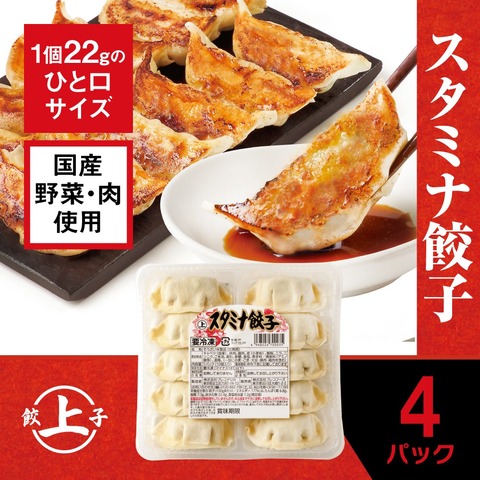 ジャンボ餃子(冷凍)８個×10パック