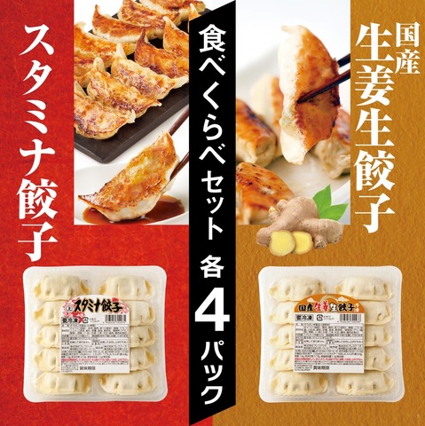 ジャンボ餃子(冷凍)８個×10パック