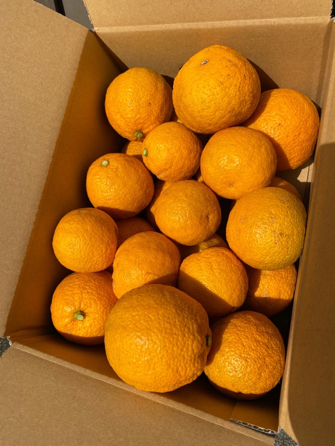 じゃばら 2kg